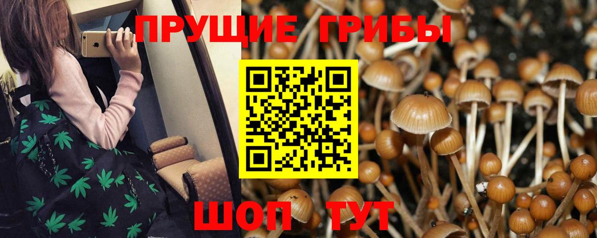 Псилоцибиновые грибы ЛСД  сколько стоит  Галлюциногенные грибы прущие грибы  Ефремов  Вход с VPN 